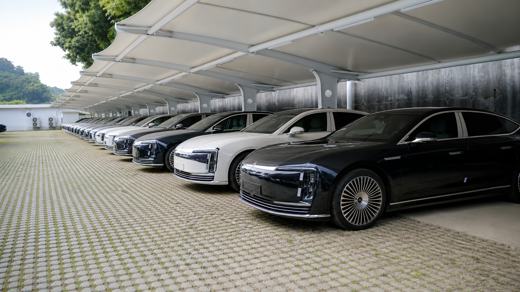 Rows of export-ready vehicles in stock yard